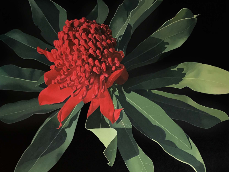 8-iconic-waratah-acrylic-on-linen-102-x-92