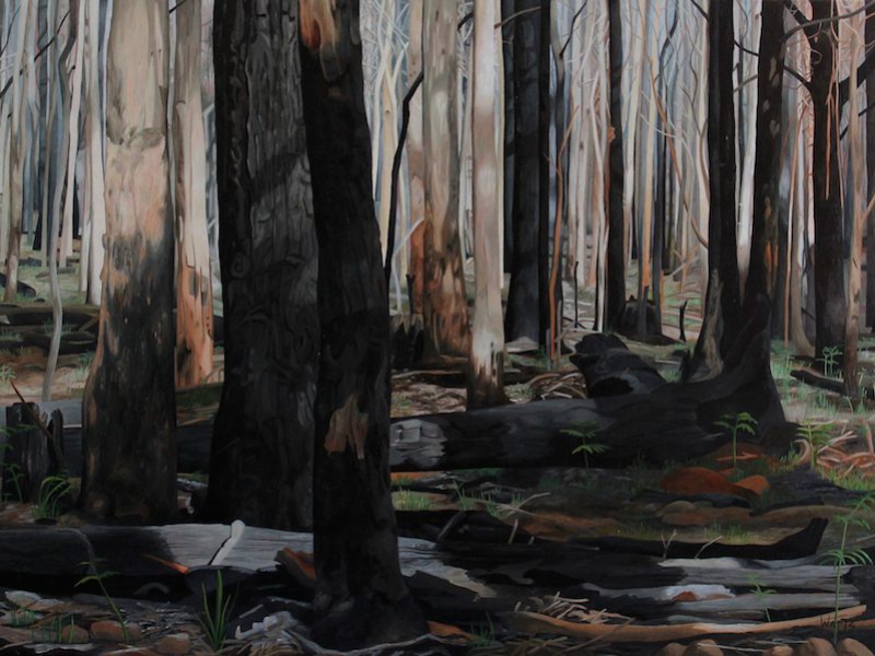 mt-buangor-after-the-fires-122×92-paddington-prize-exhibition